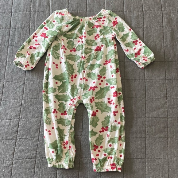 Burt's Bees Baby Other - Burts Bees Onesie worn 1x​​​​​​